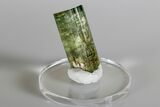 Green Elbaite Tourmaline Crystal - Urubu Mine, Brazil #175535-1